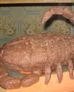 Торт Скорпион