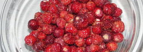 торт сладкая жизнь. Шаг 6