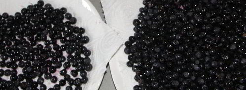 торт сладкая жизнь. Шаг 7