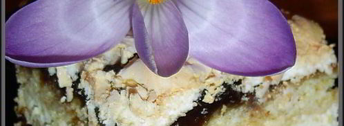 торт цветы в пустыне. Шаг 2