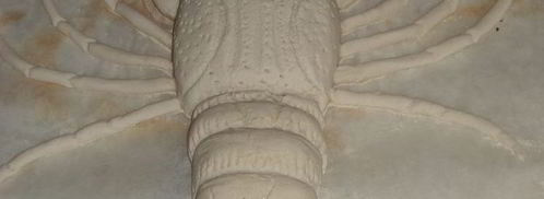 выпечка из пресного теста раки. Шаг 7