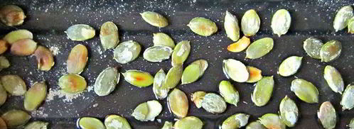 тыквенная запеканка. Шаг 11