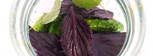 ассорти из огурцов и помидоров с базиликом на зиму. Шаг 2