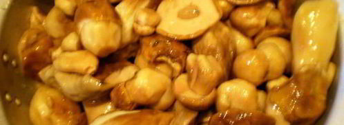 белые грибы замороженные на зиму. Шаг 2