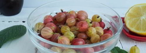 джем из крыжовника, лимона и мелиссы. Шаг 4