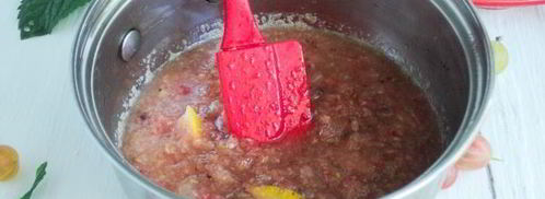 джем из крыжовника, лимона и мелиссы. Шаг 11