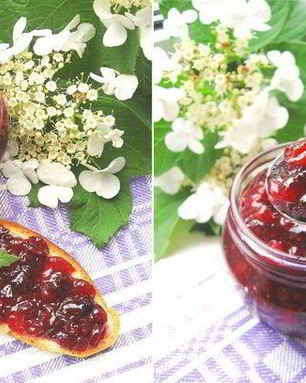 Клюквенный джем