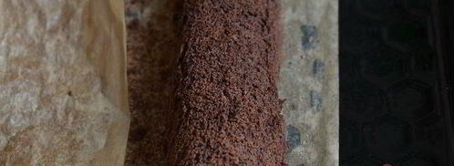 шоколадный рулет с клюквенным джемом и шоколадным ганашем. Шаг 8