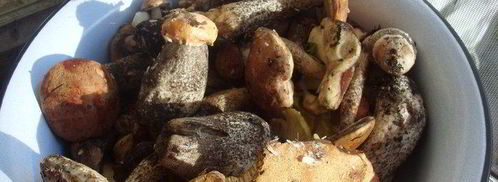 грибочки на зиму. Шаг 2