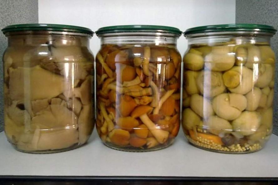 Рецепт грибы на зиму без стерилизации