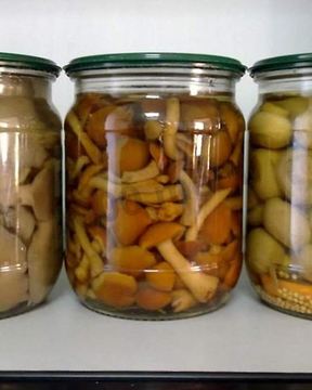 Грибы на зиму без стерилизации