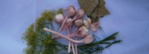 кабачки консервированные на зиму. Шаг 3