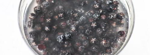 компот из черноплодки. Шаг 2