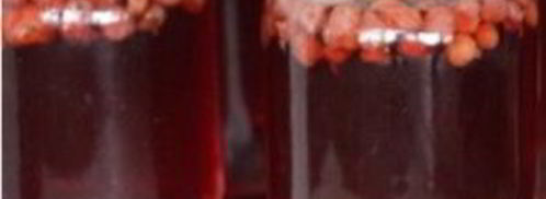 компот из клубники на зиму. Шаг 6