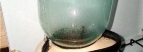 компот из персиков на зиму. Шаг 3