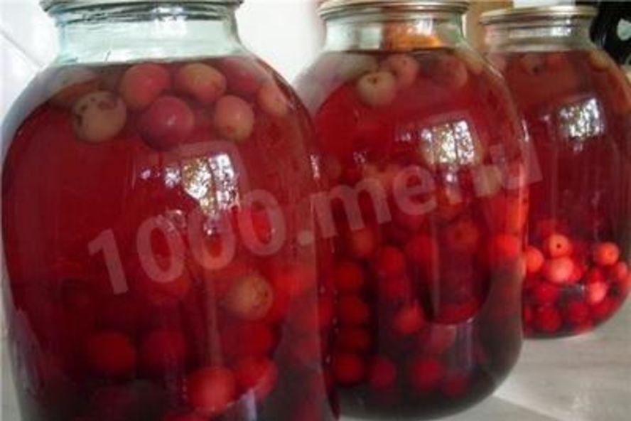 Рецепт компот из ранеток на зиму