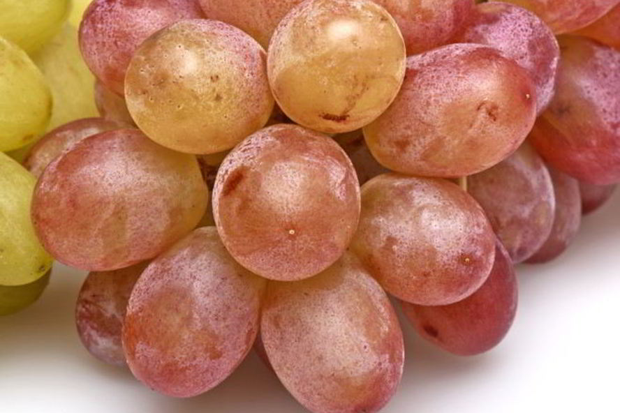 Рецепт компот из винограда