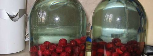 компот из вишен с косточками на зиму. Шаг 3