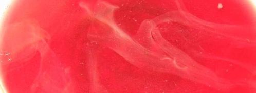 компот из вишен с косточками на зиму. Шаг 4