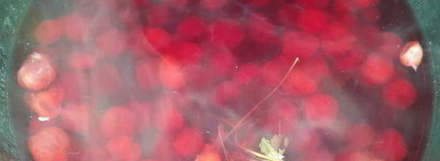 компот из вишни и крыжовника. Шаг 2