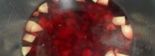 компот из вишни в мультиварке. Шаг 4