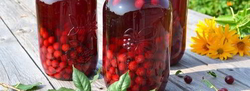 концентрированный компот из вишни на зиму. Шаг 9