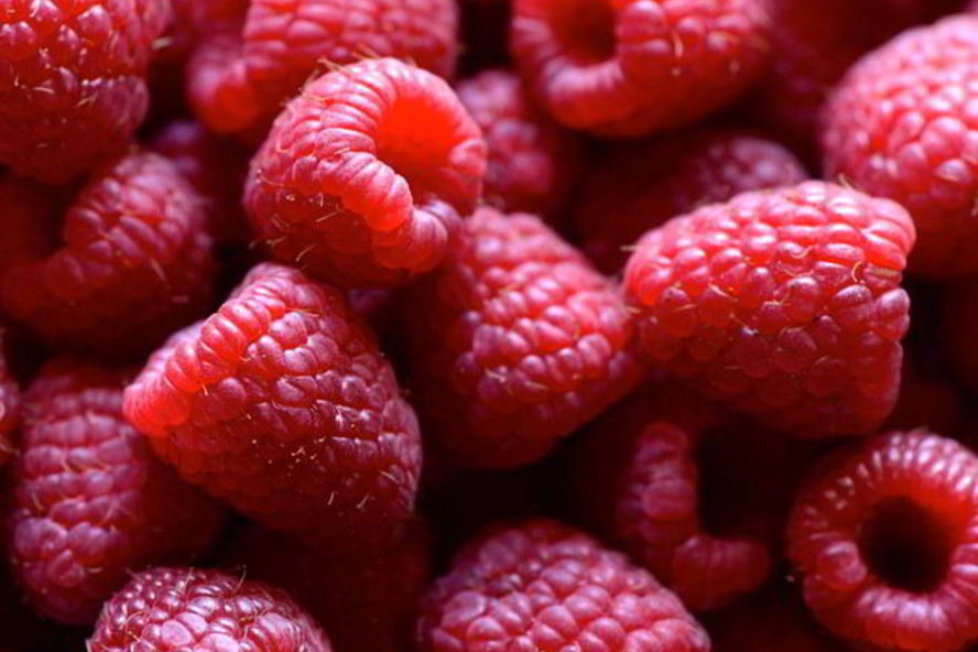 Рецепт малиновый компот