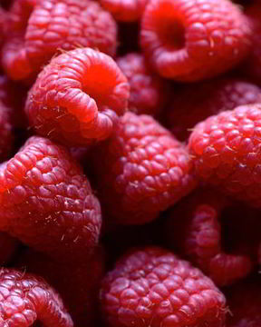 Малиновый компот