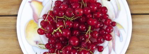 персиковый компот. Шаг 2