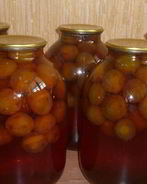 Закатка компота из слив