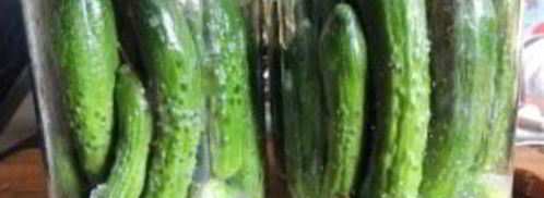 маленькие огурчики на зиму. Шаг 3