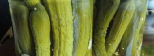 маленькие огурчики на зиму. Шаг 5