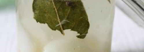 чеснок маринованный на зиму. Шаг 8