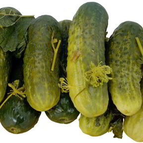 Маринованные огурцы