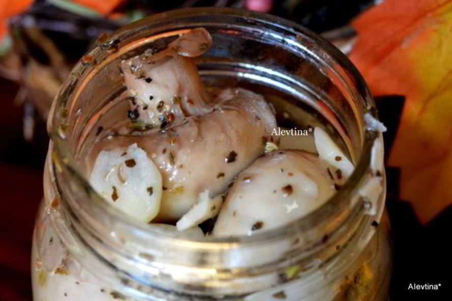 Рецепт грибы маринованные — антипасти