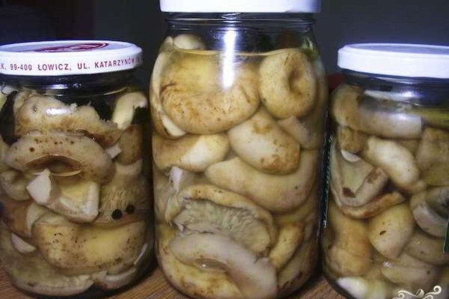 Рецепт грузди соленые маринованные