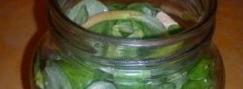 маринованный портулак. Шаг 2