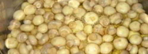 маринованные грибочки на зиму. Шаг 2