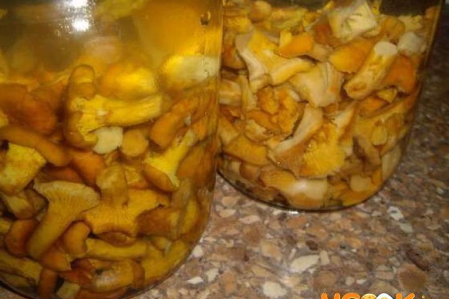 Рецепт маринованные лисички