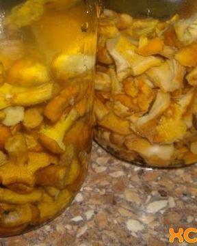 Маринованные лисички