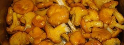 маринованные лисички. Шаг 3