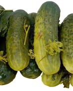 Маринованные огурцы без стерилизации