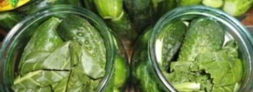 маринованные огурцы без уксуса. Шаг 2