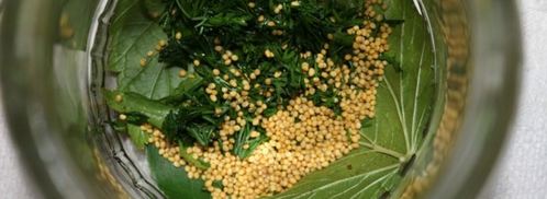 маринованные огурцы globus. Шаг 4