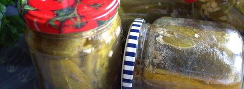 маринованные огурцы с горчицей. Шаг 14