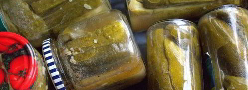 маринованные огурцы с горчицей. Шаг 16