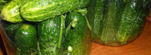 маринованные огурцы с семенами горчицы. Шаг 3