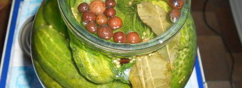 маринованные огурцы с семенами горчицы. Шаг 4