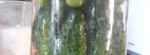 маринованные огурцы в банках с гвоздикой. Шаг 2