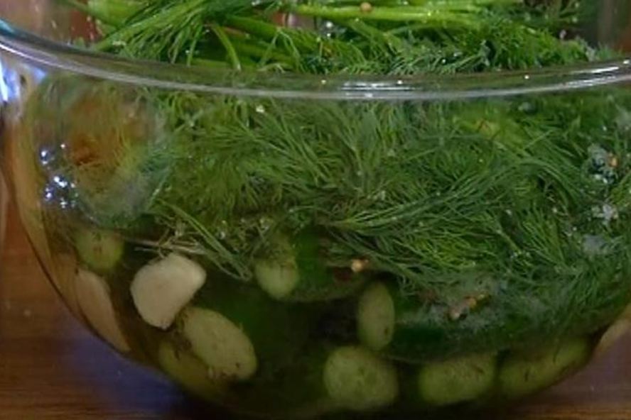 Рецепт маринованные огурцы